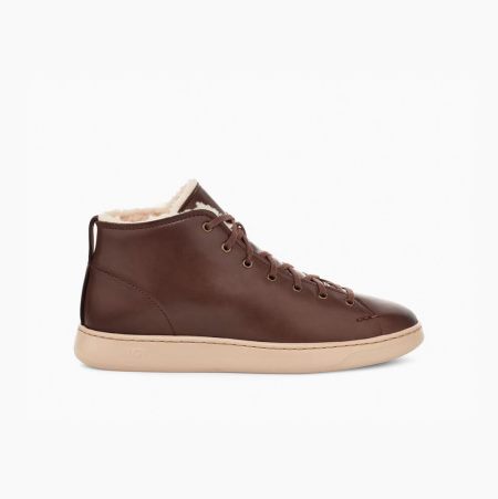 UGG Pismo High Cozy Brown Sneakers for Men (YPAL72513)
